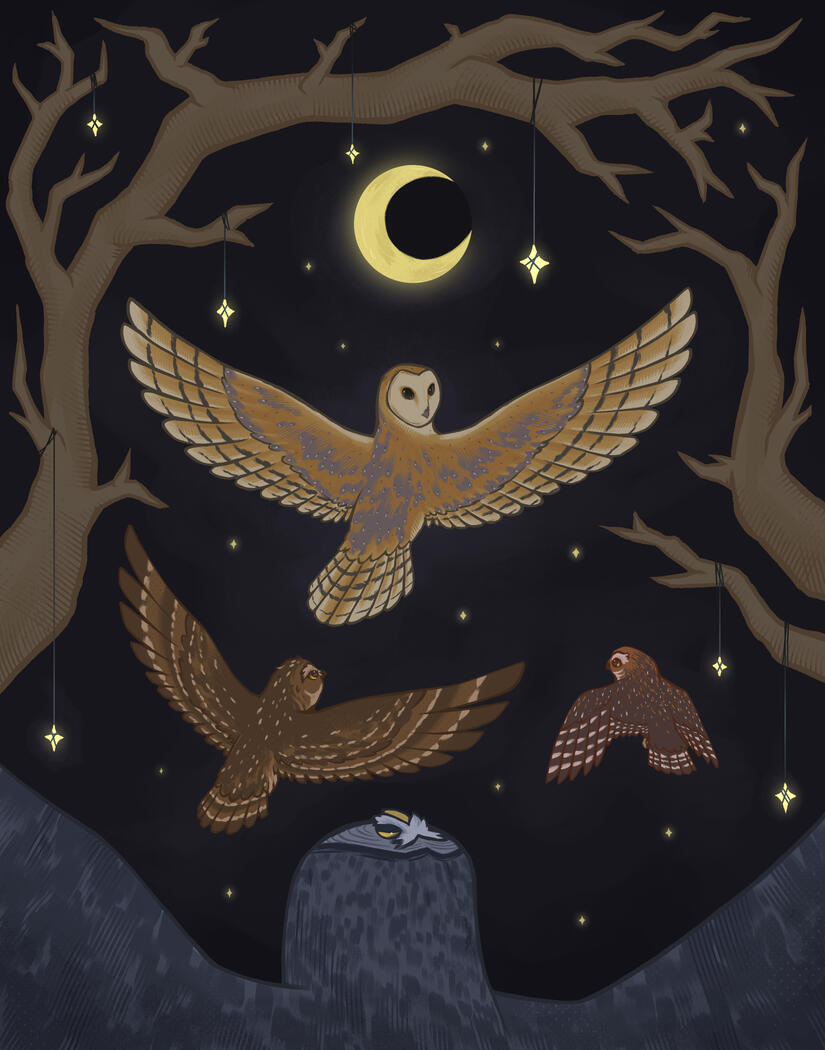 Fly by Night Fly by Night