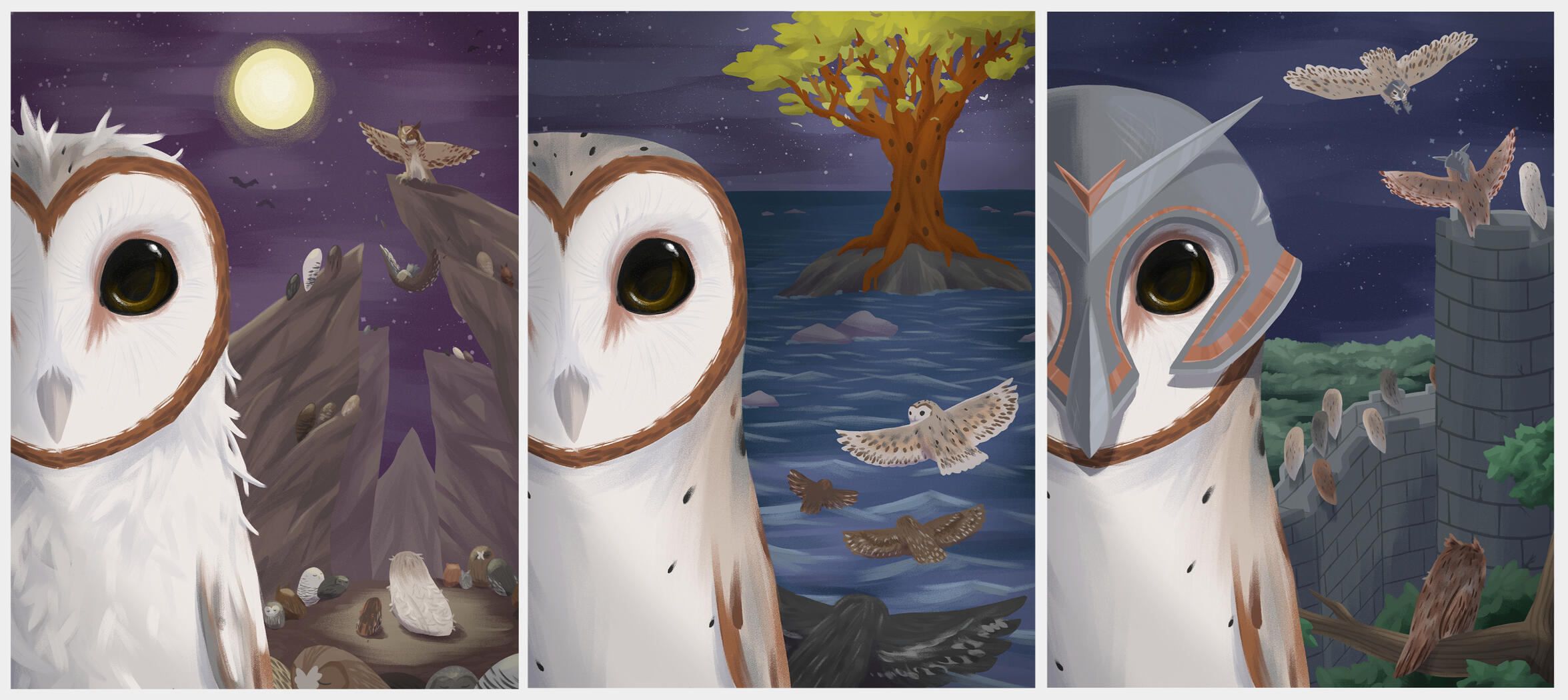 Guardians of Ga&#39;Hoole Mock Covers