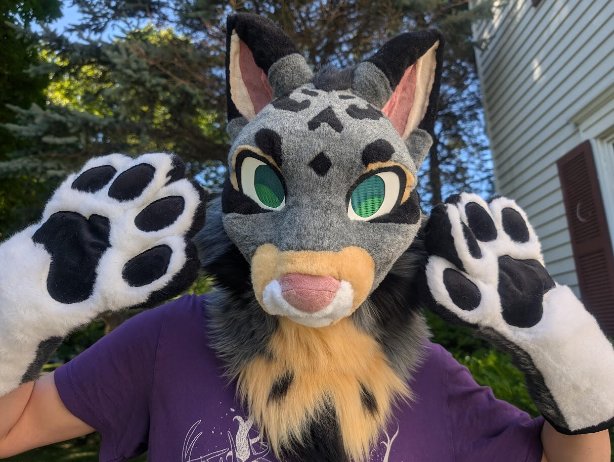 Grey Tabby Fursuit Premade